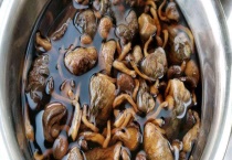 姬松茸该如何泡发 姬松茸怎么做好吃