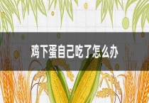鸡下蛋自己吃了怎么办？