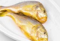 野生黄花鱼和养殖黄花鱼的区别？