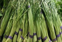 蒜苔是怎么长出来的 附蒜苔的主要产地和功效作用