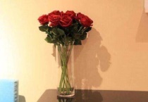 玫瑰花怎么养水里