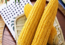 金园007玉米种子都有哪些特征 附简介