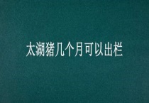 太湖猪几个月可以出栏