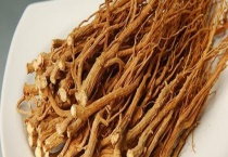 柴胡的病虫害防治 主要有以下几种