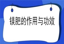 镁肥的作用与功效