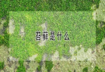 苔藓是什么？