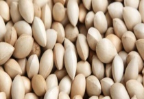 白果可不可以生吃 有哪些吃法