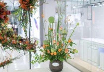 火焰兰鲜花深水还是浅水养