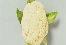 花菜有几个品种