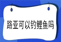 路亚可以钓鲤鱼吗？