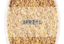 油籽粉是什么？