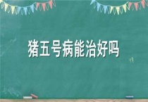 猪五号病能治好吗？