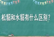 松貂和水貂有什么区别？？