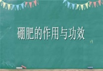 硼肥的作用与功效