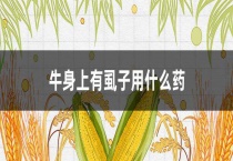 牛身上有虱子用什么药