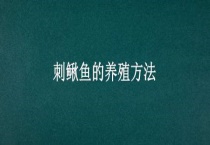 刺鳅鱼的养殖多久？