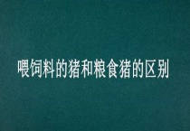 喂饲料的猪和粮食猪的区别？