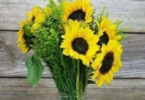 向日葵怎么插花瓶好看