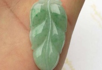 玉坠叶子干瘪是为什么？