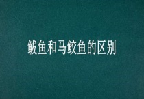 鲅鱼和马鲛鱼的区别？