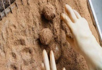 皮蛋是怎样制作出来的 附皮蛋的分类