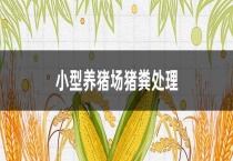 小型养猪场猪粪多久？