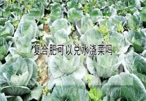 复合肥可以兑水浇菜吗？