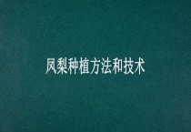 凤梨种植方法和技术