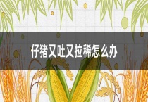 仔猪又吐又拉稀怎么办？