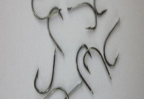 伊豆鱼钩适合钓的鱼种有哪些 都有些什么特点