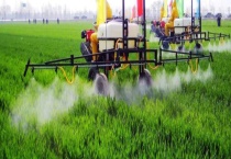 丁草胺、乙草胺、丙草胺化学除草剂的相关介绍 有些什么应用技术