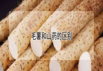 毛薯和山药的区别？