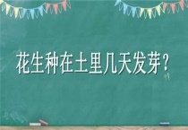 花生种在土里几天发芽