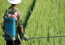 液体氮肥是否可以替代尿素 液体氮肥和尿素哪个好？