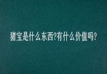 猪宝是什么东西？有什么价值吗？