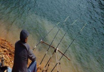 春季钓鲫鱼线组搭配及注意事项 影响线组搭配的因素有很多