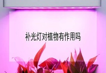 补光灯对植物有作用吗？