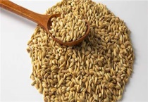 磷化铝怎么放在粮食内