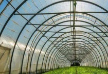 种植大棚需要多少钱？附土墙日光温室大棚优缺点