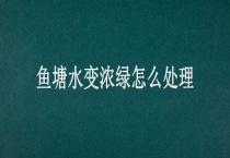 鱼塘水变浓绿怎么多久？