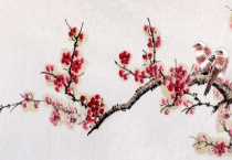 蜡梅的品种有哪些？