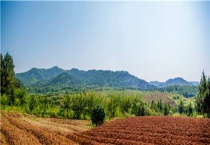 耕地和基本农田区别？