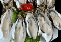 生蚝的价格大概是多少 不能吃的部位有哪些？