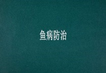鱼病防治