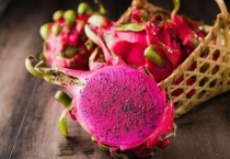 火龙果开花后多久果熟