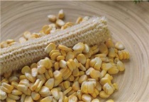 玉米粒放什么药不生虫