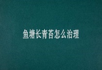 鱼塘长青苔怎么治理