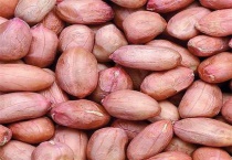 如何挑选花生种子