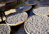 莓茶是什么茶叶