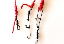 主线 附型号的划分